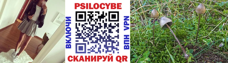 Купить  Челябинск  Псилоцибиновые грибы Magic Shrooms 